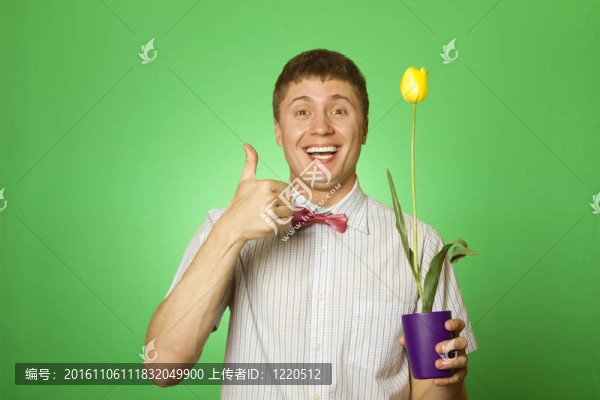 男子拿著一朵郁金香種在花盆里