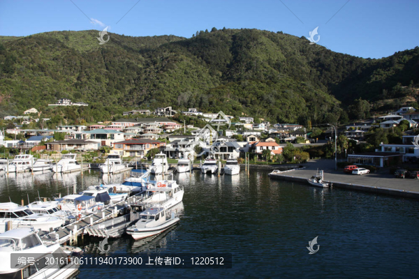 比克頓；新西蘭