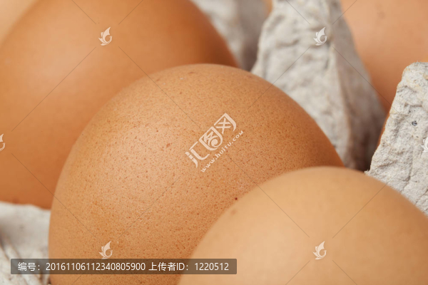 棕色的雞蛋