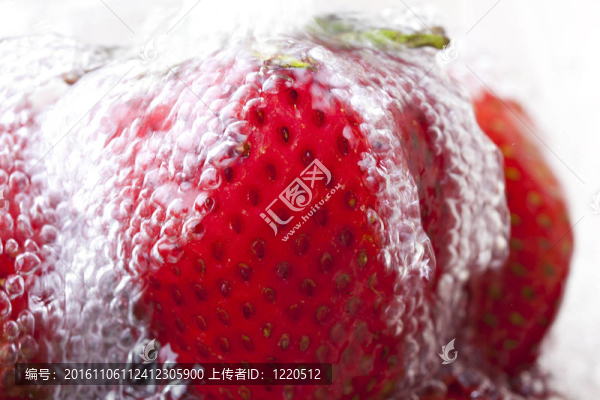 鮮紅色的草莓