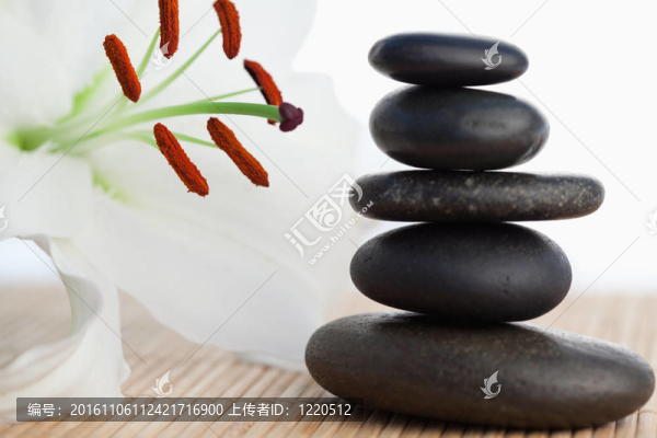 在一堆黑色的石頭白芙蓉