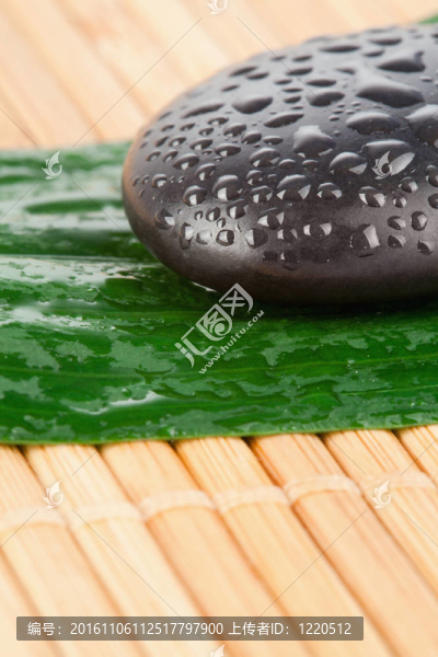 靠近一塊黑色的石頭和一片葉子
