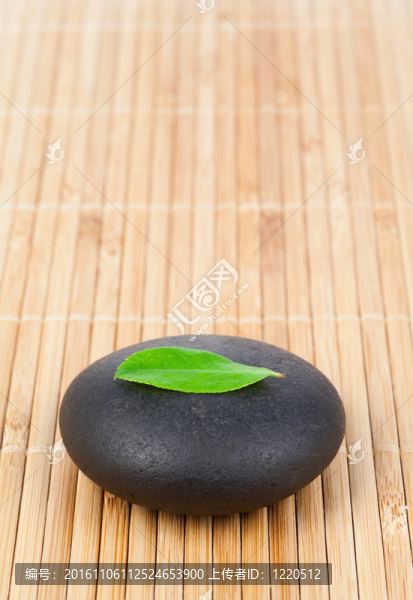圓光滑的鵝卵石上的葉子
