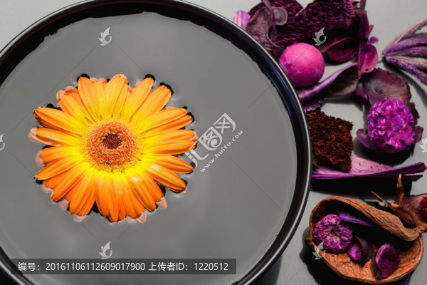 在黑色和紫色的干花碗浮動橙色非洲菊
