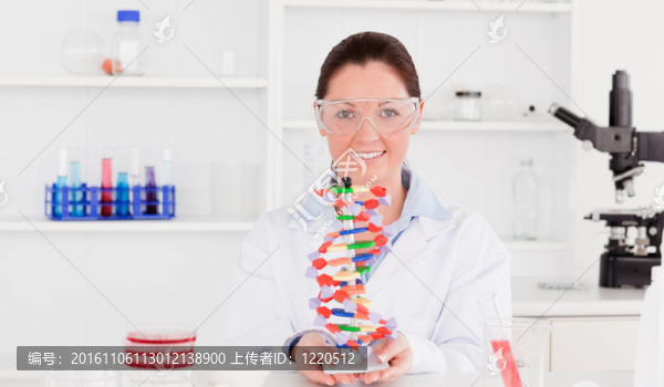 美麗的科學家展示DNA雙螺旋模型