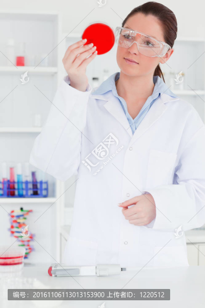 看樣品的科學家