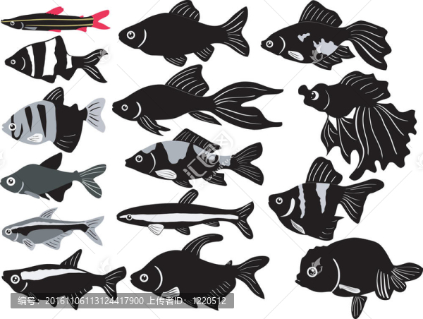水族館魚(yú)