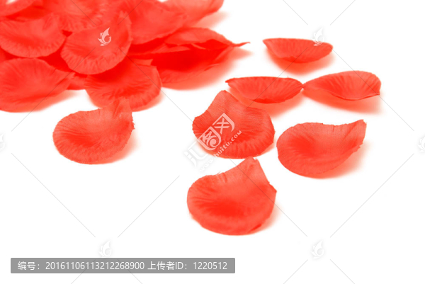 織物的玫瑰花瓣