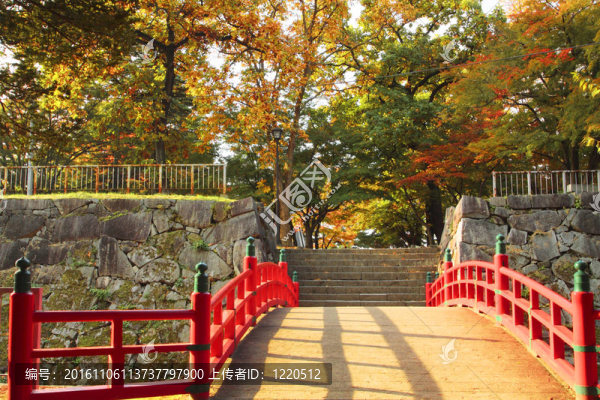 在巖手公園的彩色的葉子