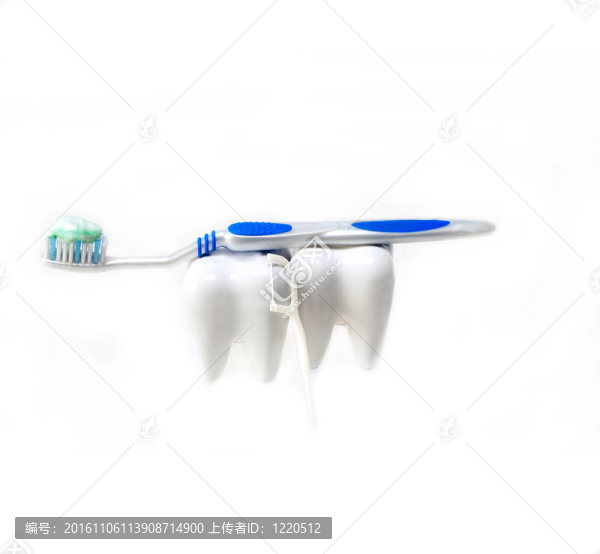 白色上隔離的兩個齒和刷