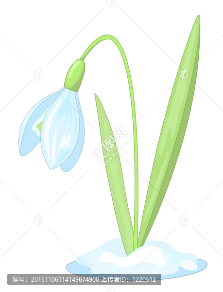 雪花蓮（20）.jpg