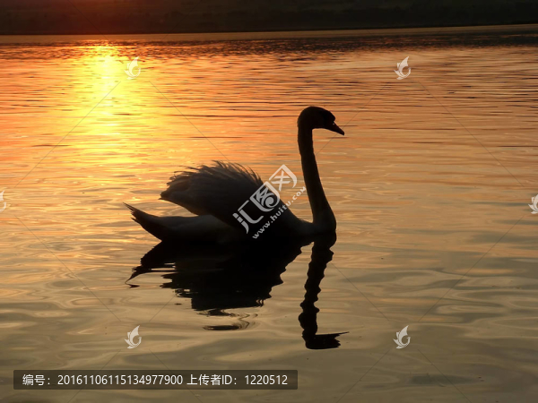 輪廓