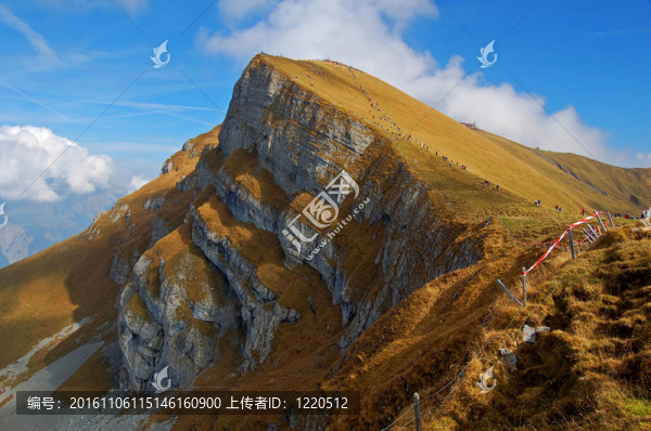 郊游野游