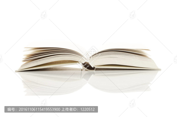 一本打開的書的書頁；白色的。更多關于我的投資組合的書的照片