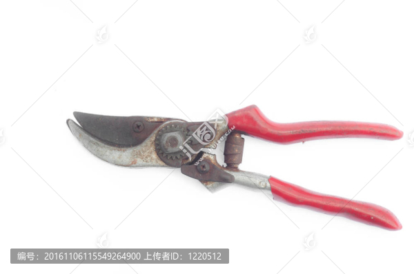 白色背景上的園藝剪刀