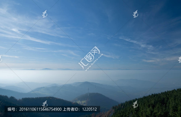 陽光和霧