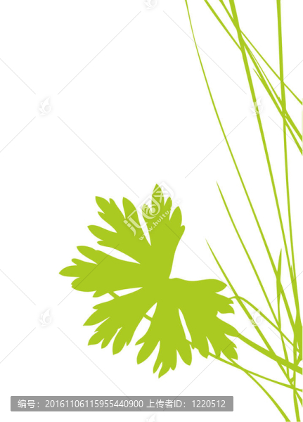 白底綠片