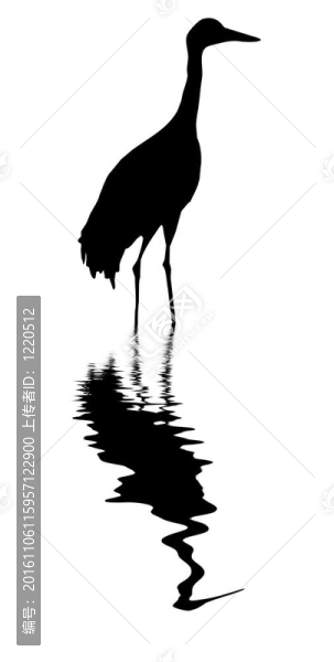 起重機(jī)在水