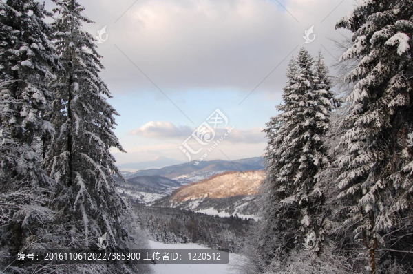 山地景觀