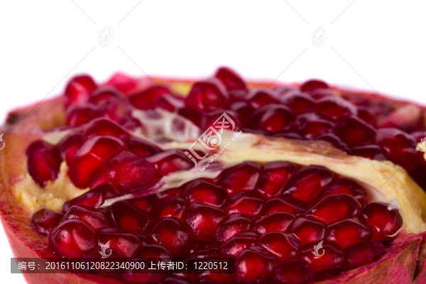 石榴白