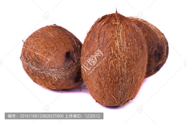 椰子白