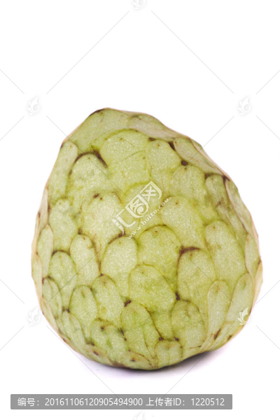 番荔枝果實(shí)