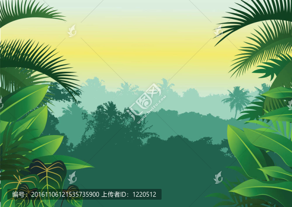熱帶叢林