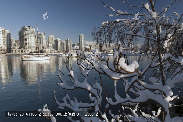 雪下的溫哥華和假溪
