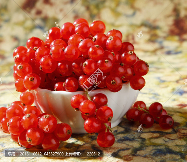 紅醋栗