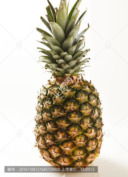菠蘿