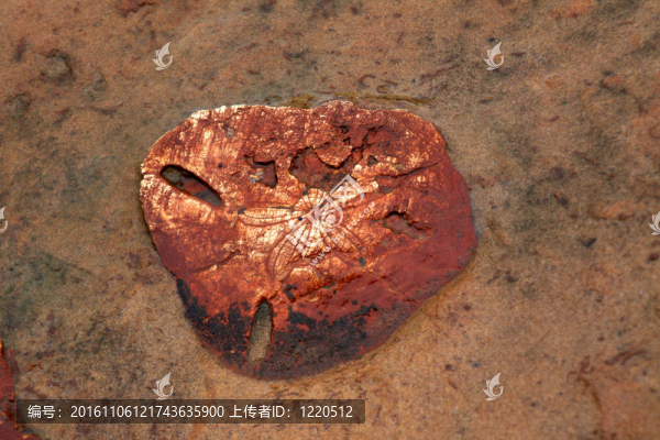 野柳地質(zhì)公園臺(tái)灣