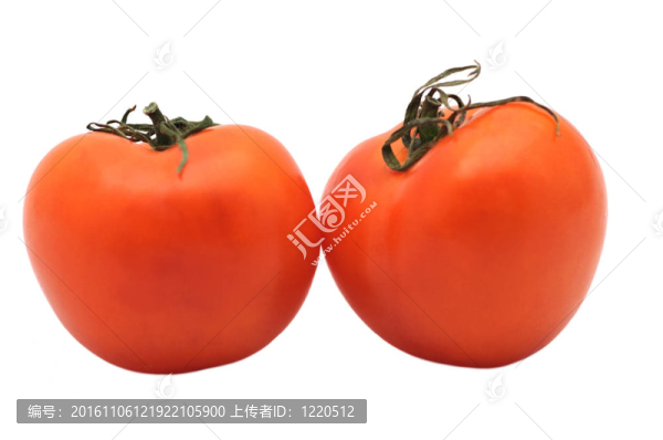 成熟的西紅柿