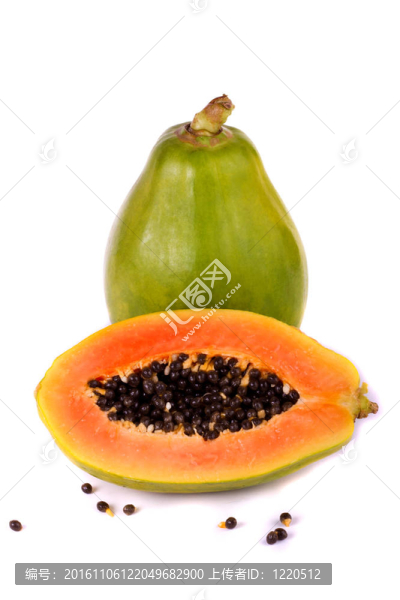 木瓜白