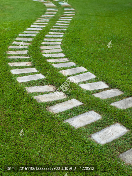 草地彎道