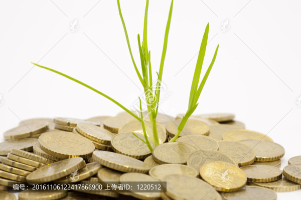 硬幣綠色射擊