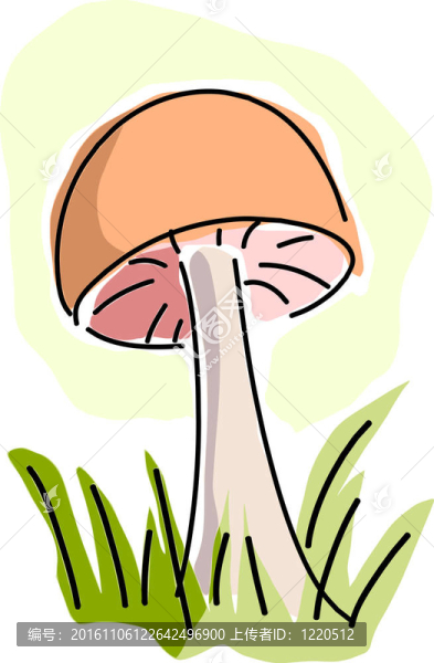 草叢中的蘑菇