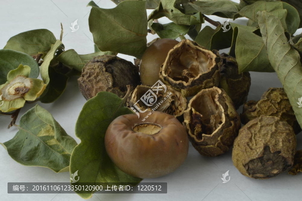 都干涸了