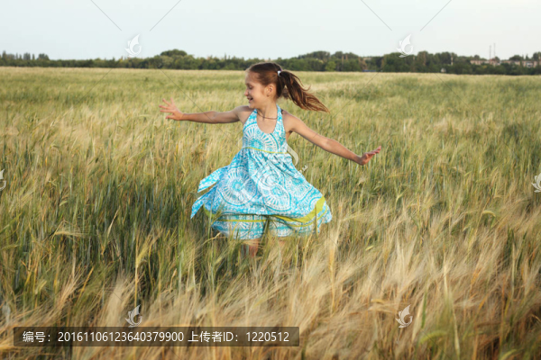 麥田上的女孩