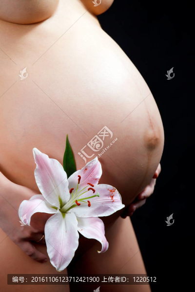 孕婦的肚子