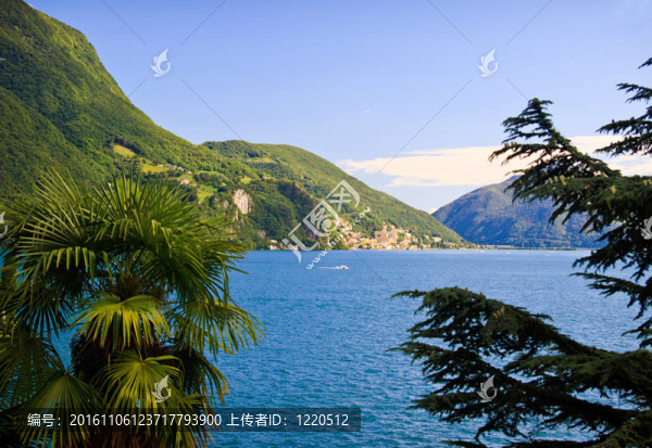夏季盧加諾湖觀；瑞士