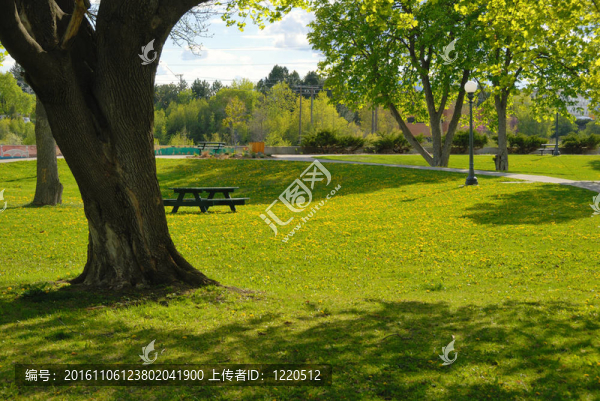 城市公園夏季景觀