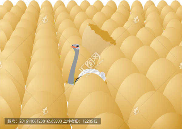 鴕鳥蛋