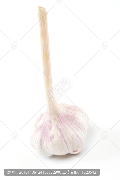白色背景上的大蒜頭
