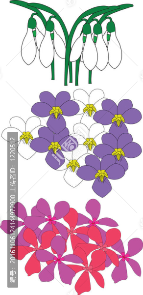 插圖的花