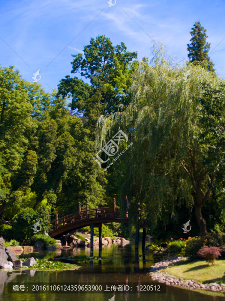 日本花園；弗羅茨瓦夫；波蘭