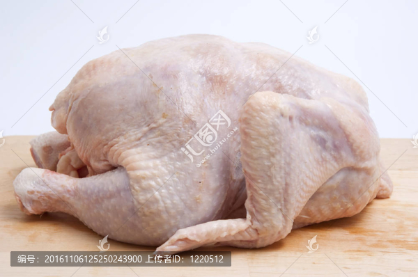 肉雞