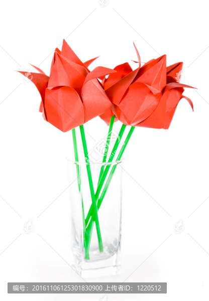 origamis。郁金香.