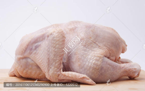 雞肉雞