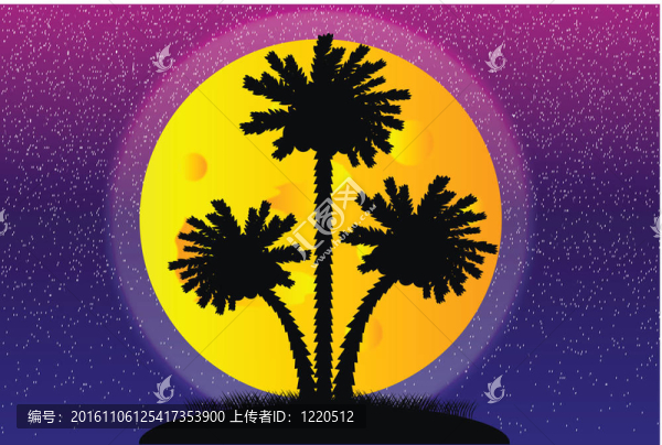 夜晚棕櫚樹的剪影