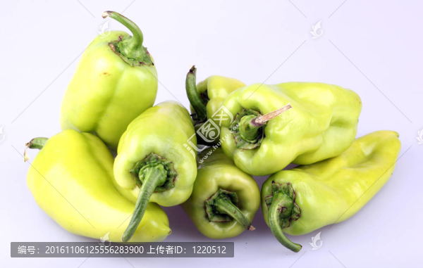 青椒